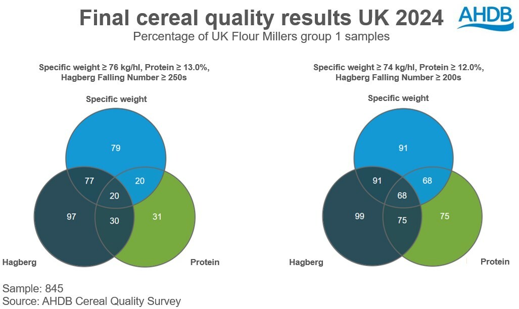 Chart of the proportion of group 1 samples meeting full and adjusted bread wheat specs in 2024